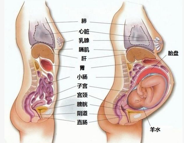 第530页