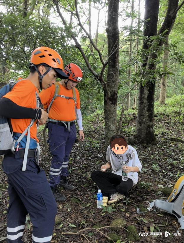 第85页